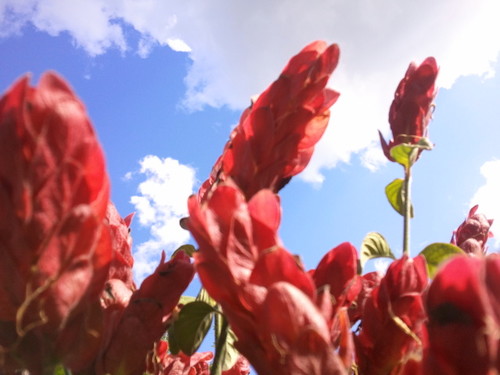 sciencetech_lab's profile picture. Kindergarten through 5th grade Science Technology and Reasearch Laboratory. Elevating and molding the future 1 mind at a time.