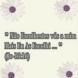 ♥ As escolhidas De Cristo ♥
 Mulheres que fazem a diferença 

http://t.co/rwkbRd0x8S