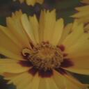 Sarah Tabor - @SallyAnnTabor - Twitter