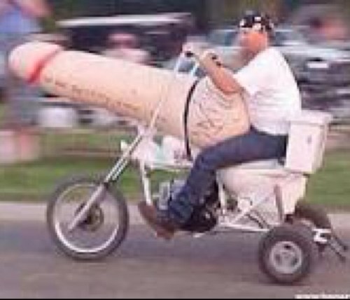 LOLToiletPenis's profile picture. 