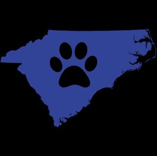 All your news for the Carolina Furs! What kind of events are around the corner?