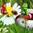 Leti_Bug's profile image