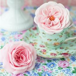 roses :3