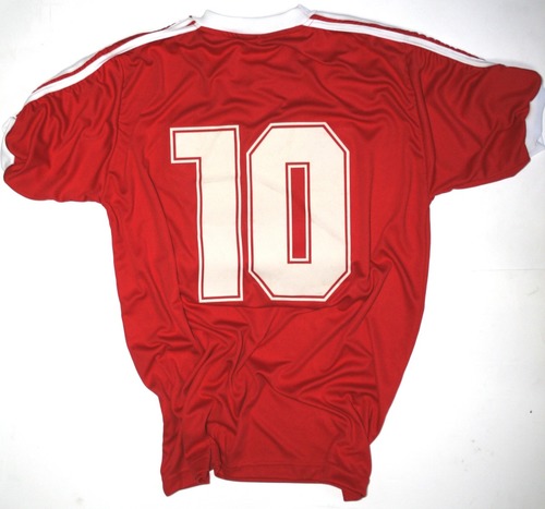 Hincha de Independiente
