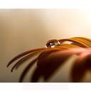 Jacquelyn Tate - @jackie_t07 - Twitter