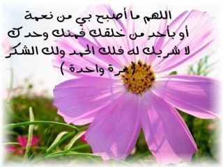 كان هذا الحساب صدقه جاريه لkozaigoma الرجاء الدعاء لصاحبه الحساب
صاحبه الحساب
سمر الحزاعي.