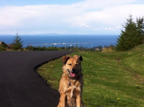 GaileyJolene's profile picture. Music Teacher, Travel Expert, Wine & Food Afficionada!