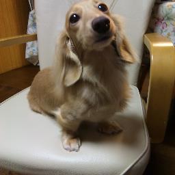 コントラクトブリッジとガーデニング愛好家です。