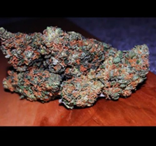 Stay high and be calm