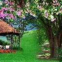 elias ogando - @Ogandoelias - Twitter