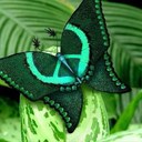 Patrick Clancy - @paddyobali - Twitter