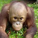 Laura Pickard - @purpleontour75 - Twitter