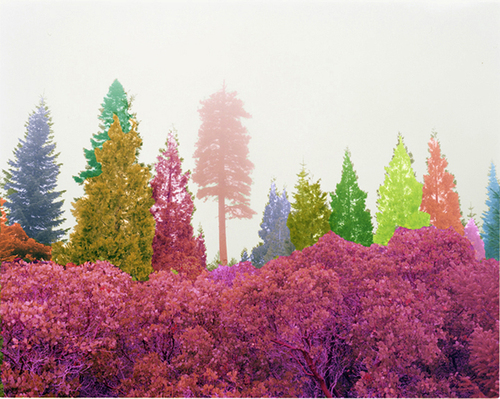 MarceloHomme's profile picture. 