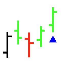 An Investor using back-and-forward-tested trading methods that give solid probabilities of success.