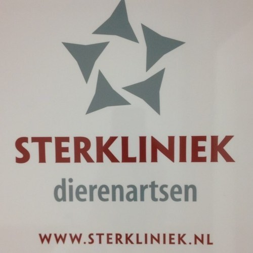 Dierenartsenpraktijk voor gezelschapsdieren in Terneuzen en Middelburg.