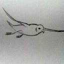 Ash Gupta - @flyingseagull - Twitter