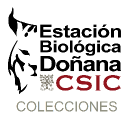 Colección Científica de Vertebrados de la Estación Biológica de Doñana (EBD-CSIC) colecciones@ebd.csic.es