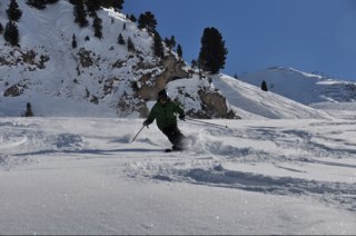 NaughtyGnu17's profile picture. 