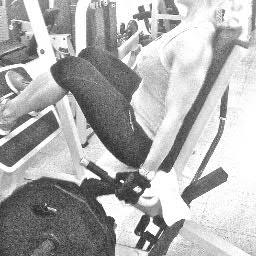 Swedish fitness and training guru