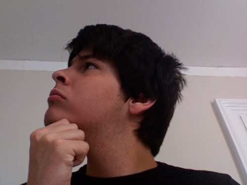 sebrander's profile picture. 