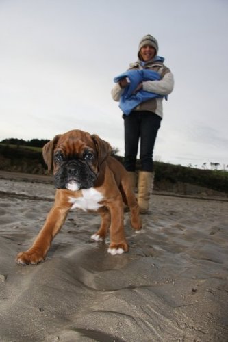 People person, Coffee lover, Sundays are the best with walks on the beach.