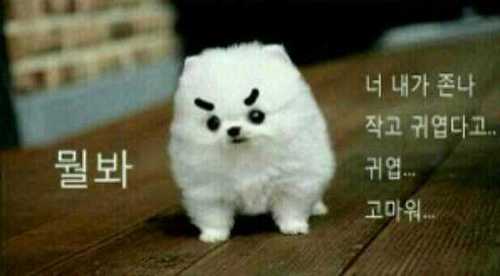 @uoojimin 의 리밋계임다!
