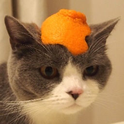 ねこのカブ  Mr.やりたい放題