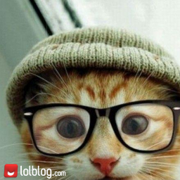 Get ready to laugh out loud!