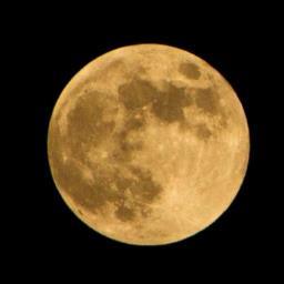 dessaprendiendo's profile picture. 