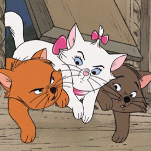 I just really like cats. And I have a lot to say about other stuff too... meow meow