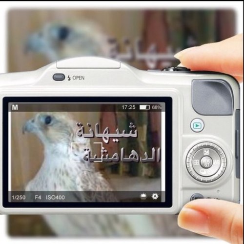 ✨دهمشية✨ ،، ولي في قمة الـمجـد مـجلاس ورأسـي يـطول الـغـيـم لا قـالوا عزوتها وايليه ✨