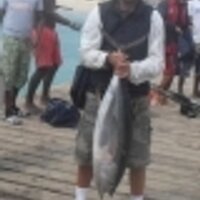 FolseHudson (@folsehudson) 's Twitter Profile Photo
