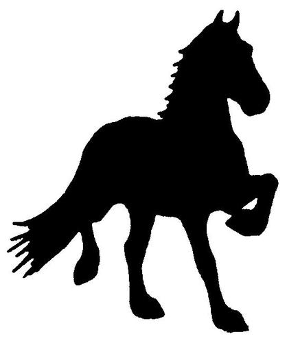Een vereniging welke de belangen behartigt van haar leden welke wedstrijden rijden met hun Friese Tuigpaarden, of deelnemen aan folkloristische ringrijderijen.