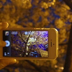 ジョギングしながらの散策。時々写真。うたた寝最高。