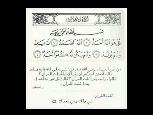 ﻻ اريد شيء سوا ان نكون جميعنا في الجنه ، اللهم ارزقنا أنا واحبتي و المسلمون جميعاً الجنه يا غفور♥~
