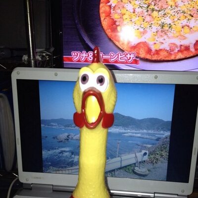 ひーこ