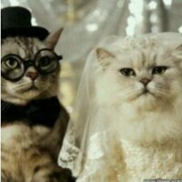 Jeje Suhana (@tandatubuh) 's Twitter Profile