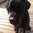 k01025am's profile image