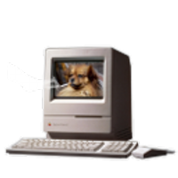 uncorrelated (@uncorrelated) 's Twitter Profile Photo uncorrelated (@uncorrelated) 's Twitter Profile Photo