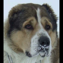 DonChase Kelli - @DonChaseK - Twitter