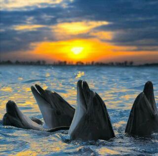 ♥ Here you find pictures of the whole world.♥♡