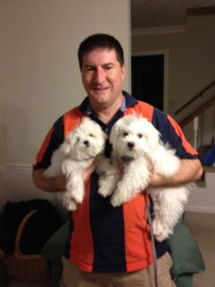 Family, Dogs, Disc Golf, Teach, PCUSA, he/him/his