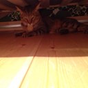 din (@06221114) Twitter