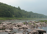 CommonWatersFnd's profile picture. Common Waters Fund supports clean water, healthy forests, and sustainable communities.