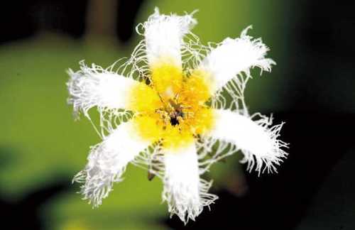 mrlgw2761's profile picture. 