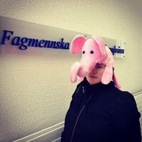 Fanney Stefánsdóttir (@fannzz) 's Twitter Profile