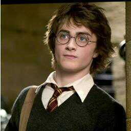 Persilangan Seekor TRex dengan Harry Potter, masih mencari jati dirinya... Udah diverif sama @ZooRPent.  #KandangBuas #ArmyJesusFams #ChineseRP =)