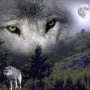 Ray Klein - @rayzorklein - Twitter