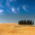 Asso Agronomi (@assoagronomi) Twitter profile photo Asso Agronomi (@assoagronomi) Twitter profile photo