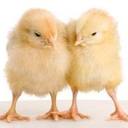 Ron Schulz - @RonSchulz3 - Twitter